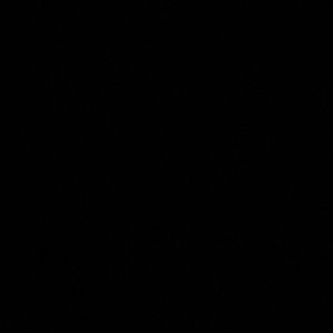 Meet your Posher, Ellen